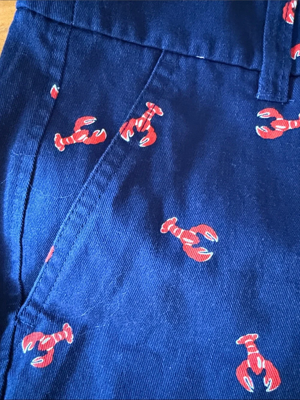 J. Crew Men's Navy Shorts with Red Lobster Print